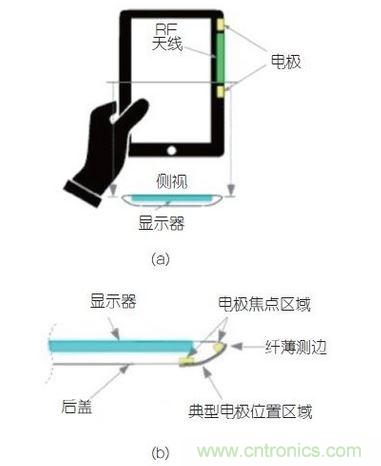 (a)側剖視圖描述；(b)電極焦點(diǎn)區域描述