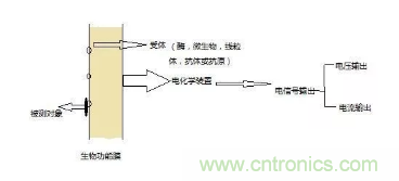 仿生傳感器的定義、原理、分類(lèi)及應用